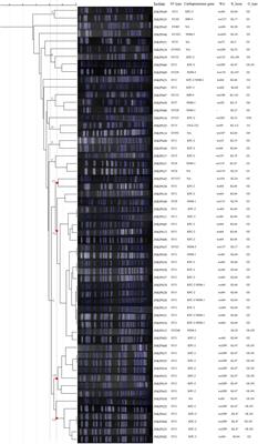 Clonal Dissemination of Clinical Carbapenem-Resistant Klebsiella pneumoniae Isolates Carrying fosA3 and blaKPC–2 Coharboring Plasmids in Shandong, China